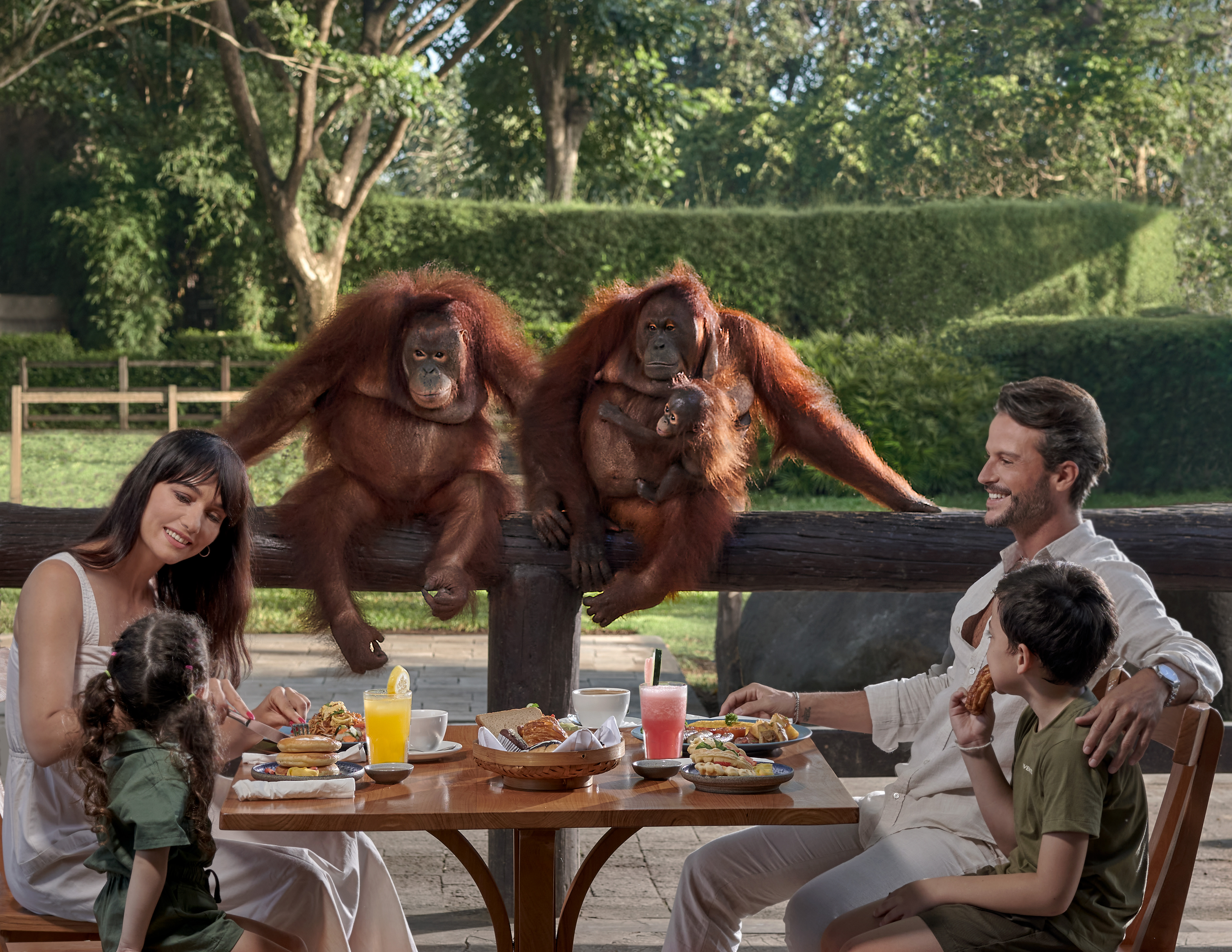 Orangutan Breakfast + Elephant Mud Fun