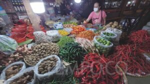 Gejolak Harga Komoditas: Apa yang Terjadi dan Bagaimana Pengaruhnya pada Kita?