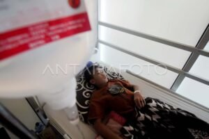 Kasus DBD Meningkat: Waspada dan Tingkatkan Upaya Pencegahan