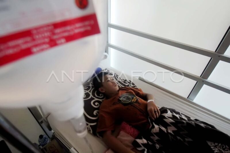 Kasus DBD Meningkat: Waspada dan Tingkatkan Upaya Pencegahan