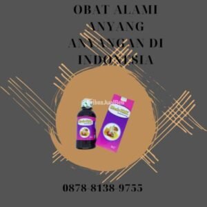 Khasiat Alam yang Teruji: Mengungkap Fakta di Balik Obat Herbal Terpercaya