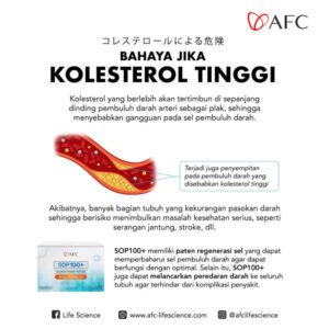 Kolesterol Tinggi: Musuh Tersembunyi di Balik Gaya Hidup Modern