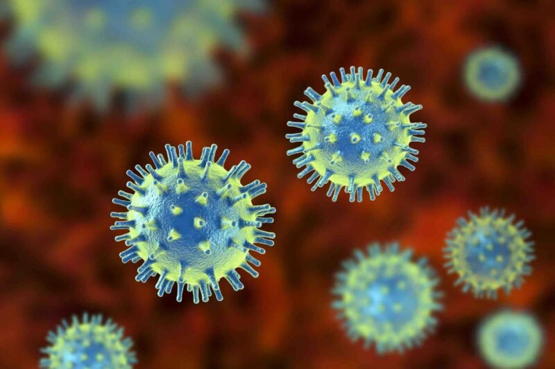 Mewaspadai "Crimson Fever": Ancaman Virus Baru di Tahun 2025