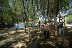 Suramnya Pariwisata: Mengapa Tempat Wisata Bertumbangan dan Apa Solusinya?