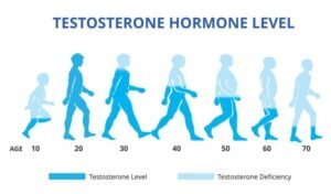 Testosteron Rendah: Lebih dari Sekadar Masalah Pria Paruh Baya