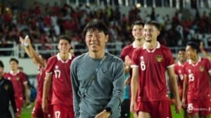 Timnas Indonesia: Harapan Baru di Tengah Tantangan, Menuju Level yang Lebih Tinggi