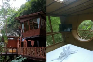 Mencari Pengalaman Menginap Tak Terlupakan? Jelajahi Pesona Rumah Pohon dan Glamping