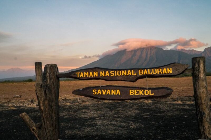 Menjelajahi Keajaiban Alam Indonesia: Panduan Lengkap Taman Nasional