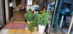 Restoran Ramah Traveler: Lebih dari Sekadar Tempat Makan, Melainkan Gerbang Pengalaman Lokal