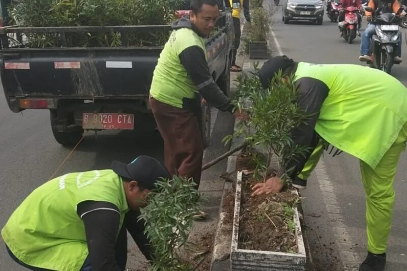 Taman Kota: Oase Hijau di Tengah Hiruk Pikuk Perkotaan