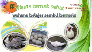 Wisata Sehat: Tren Liburan yang Menyegarkan Jiwa dan Raga