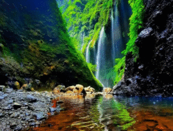 Air Terjun dengan Keindahan Alam Memukau untuk Liburanmu: Destinasi Impian yang Menyejukkan Jiwa