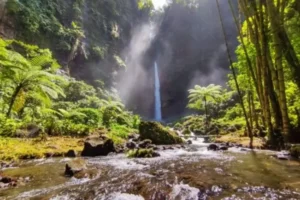 Air Terjun: Destinasi Liburan dengan Keindahan Alam Memukau