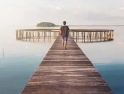 Destinasi Fotografi Alam yang Instagramable: Mengabadikan Keindahan Bumi dalam Lensa