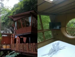 Melarikan Diri dari Rutinitas: Review Mendalam Akomodasi Unik seperti Rumah Pohon dan Glamping