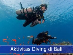 Menjelajahi Keindahan Bawah Laut: Daftar Tempat Diving dan Snorkeling Terindah di Dunia