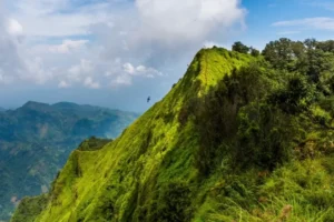 Tempat Wisata Alam Terbaik untuk Pecinta Fotografi: Mengabadikan Keindahan Dunia dalam Bingkai