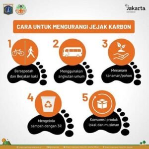 Traveling Ramah Lingkungan: Mengurangi Jejak Karbon dan Menikmati Perjalanan yang Berkelanjutan